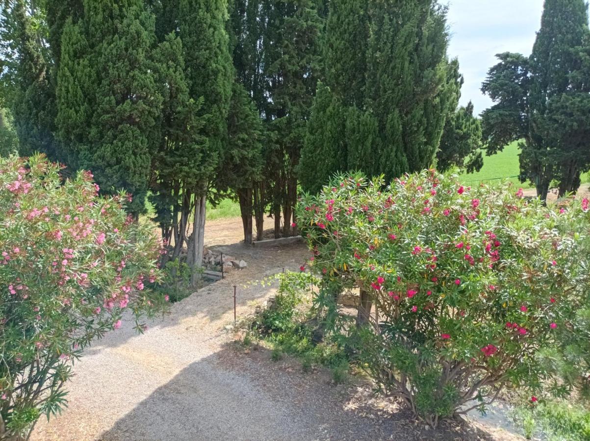 Domaine Le Piboul Villa Fontcouverte  Luaran gambar